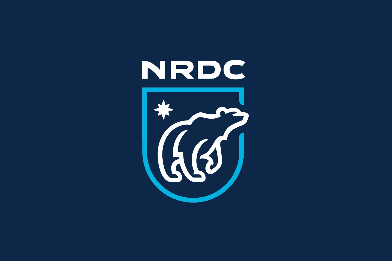 NRDC Cover v1