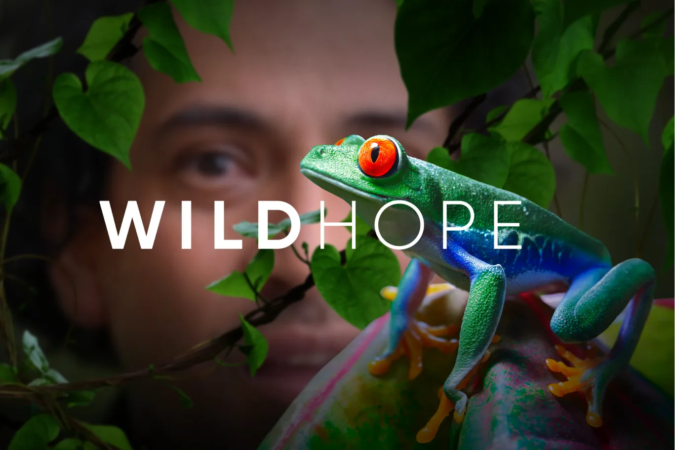 WildHope Hero Image
